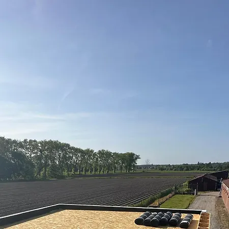 De Viervoeters Hoeve Ruiselede Exterior photo