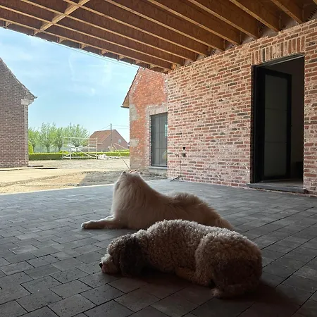 De Viervoeters Hoeve Ruiselede Exterior photo