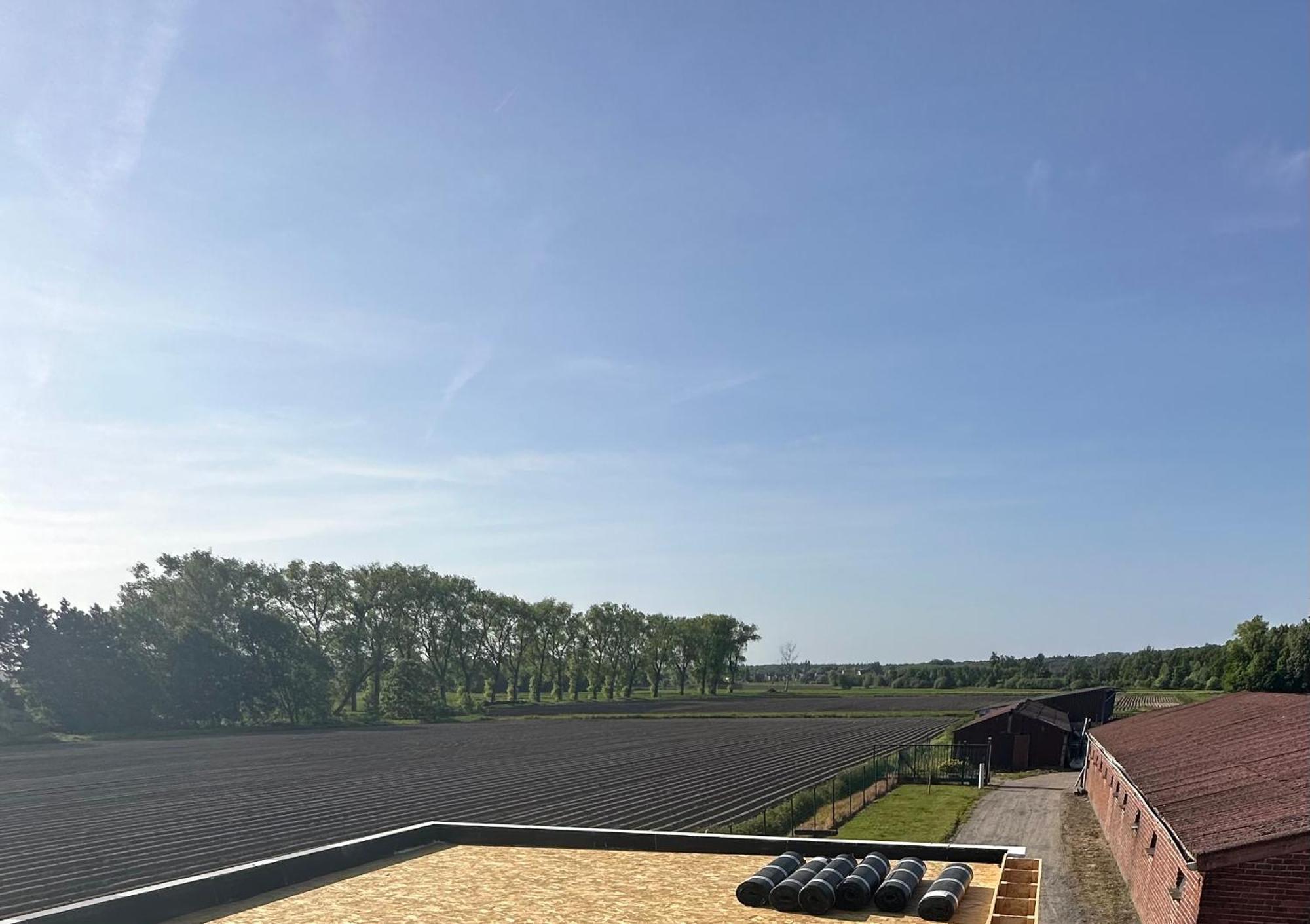 Holiday home De Viervoeters Hoeve