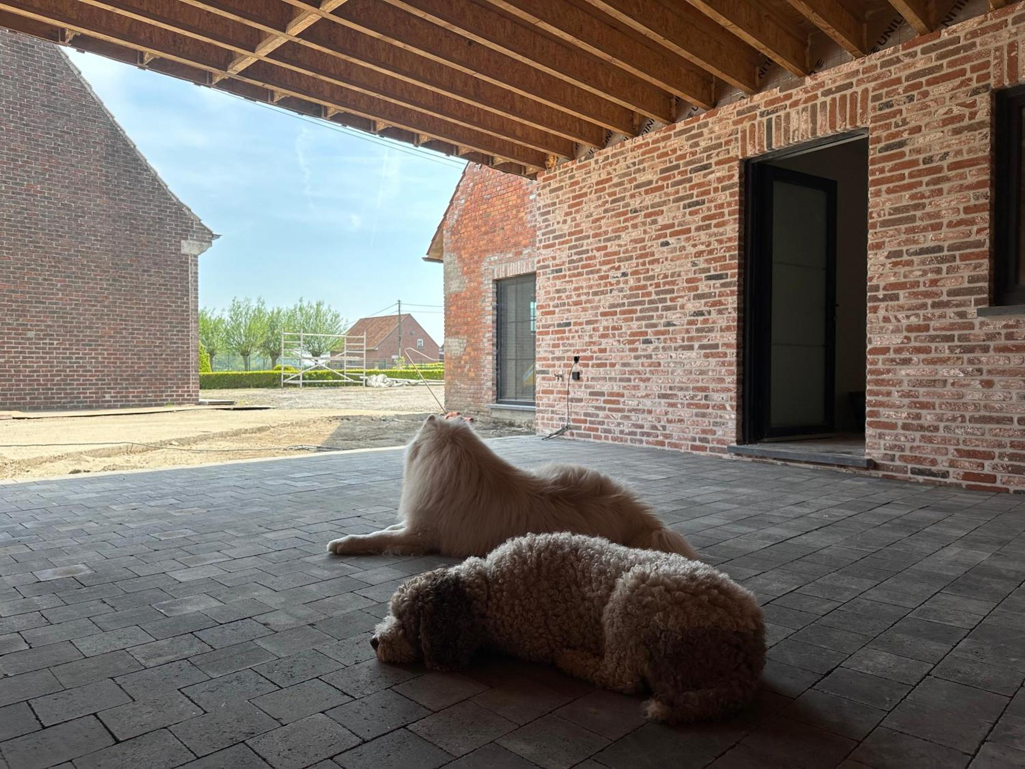 Holiday home De Viervoeters Hoeve *