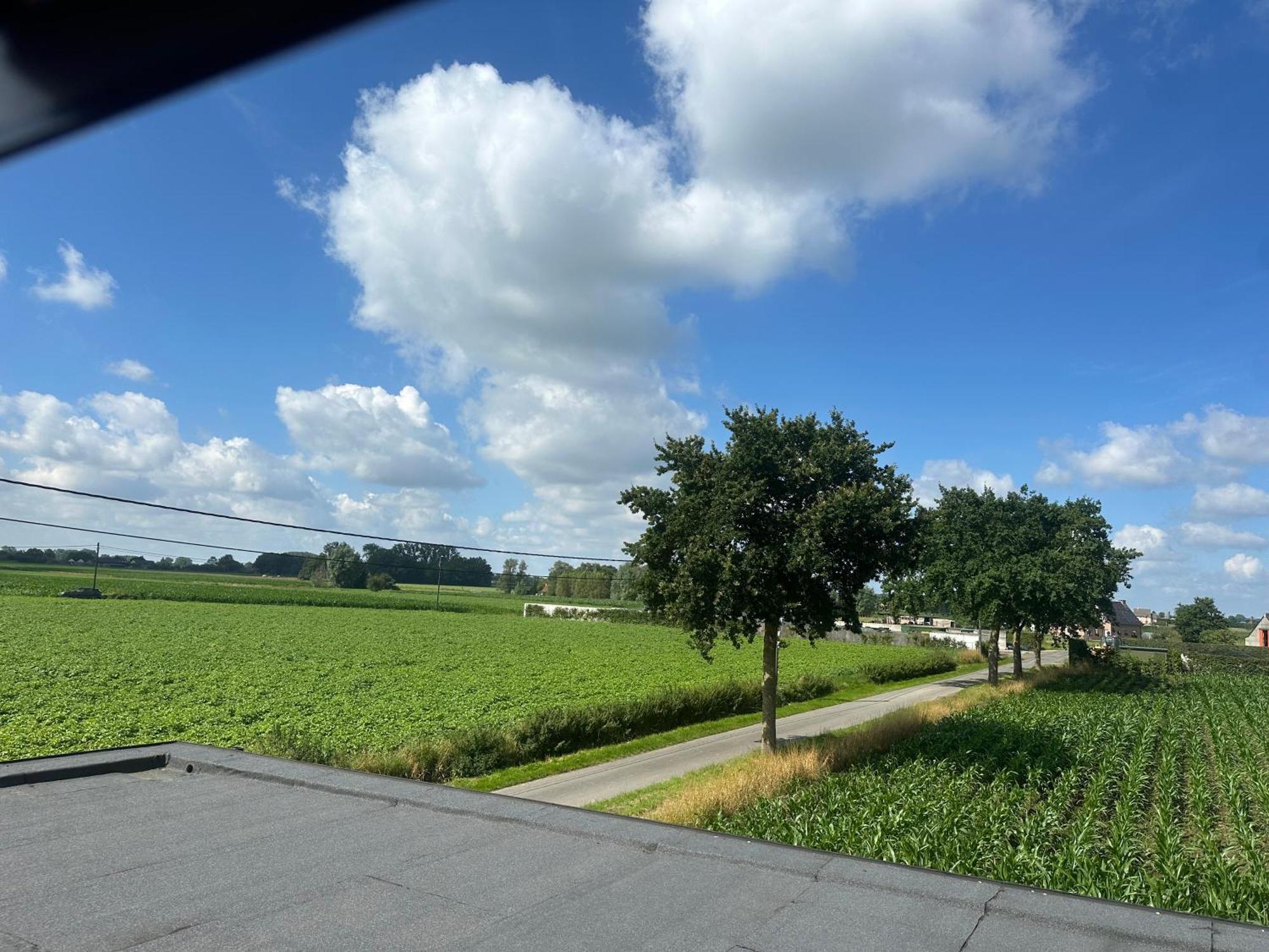 De Viervoeters Hoeve Holiday home *